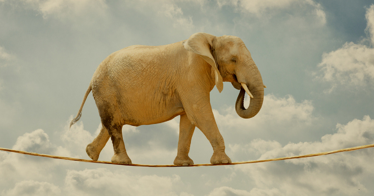 Agile Analytics