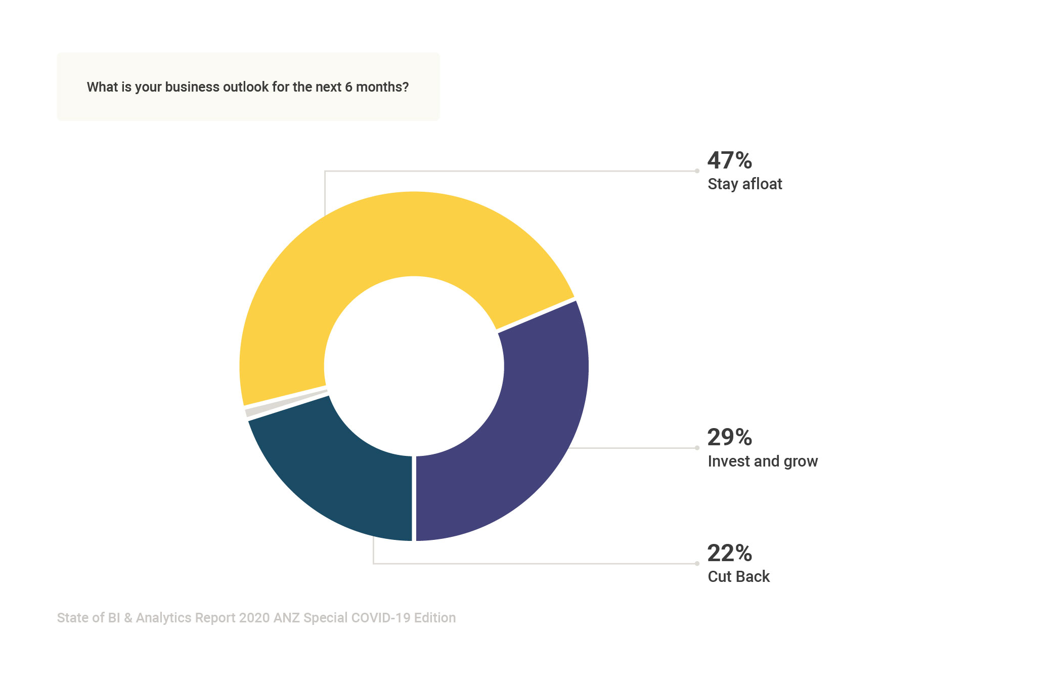 State of BI & Analytics Report 2020 ANZ