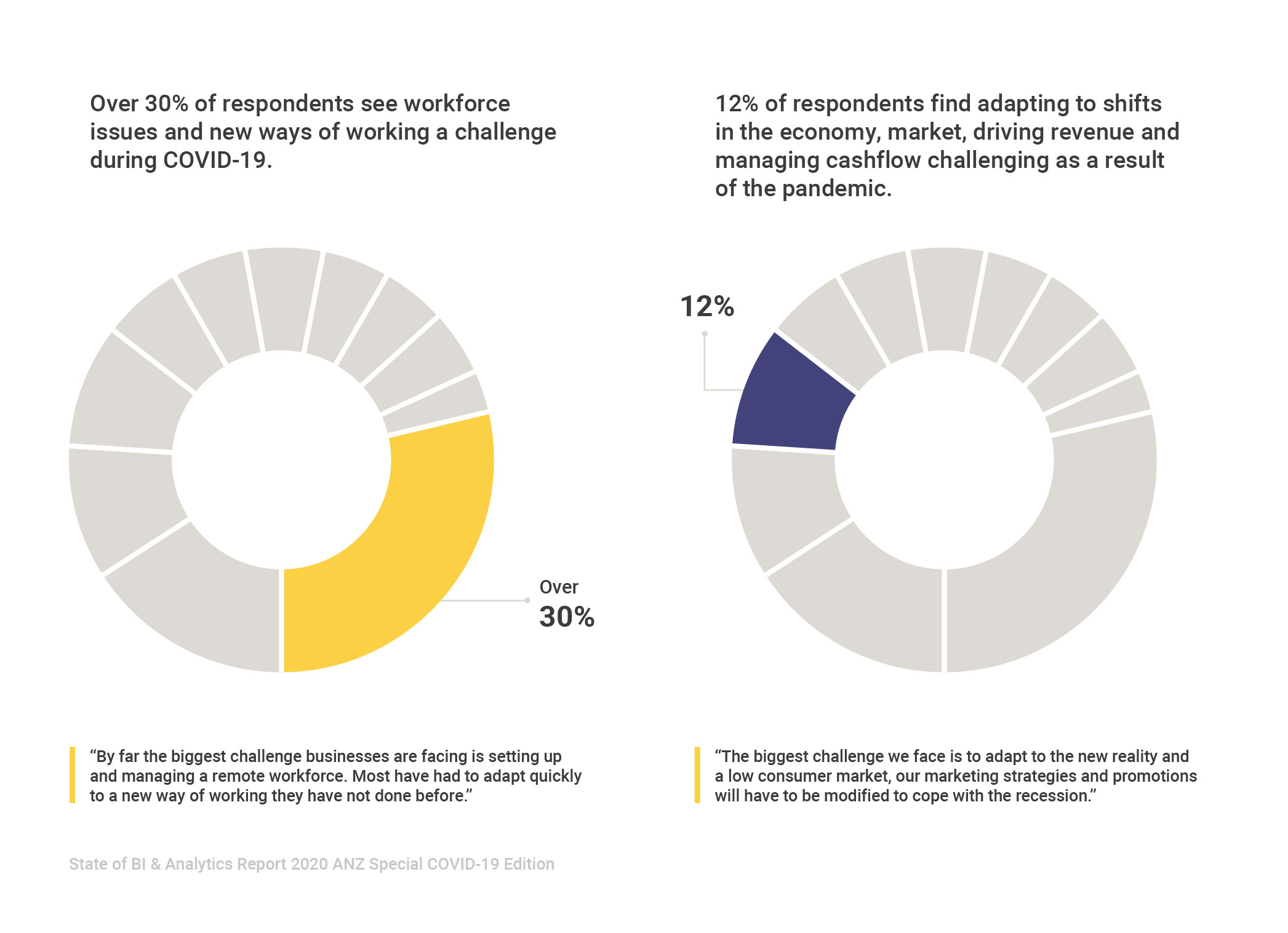 State of BI & Analytics Report 2020 ANZ