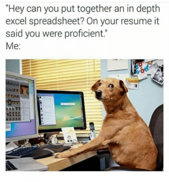 Excel Dog Meme