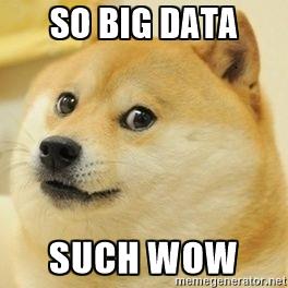 Big Data Dog Meme