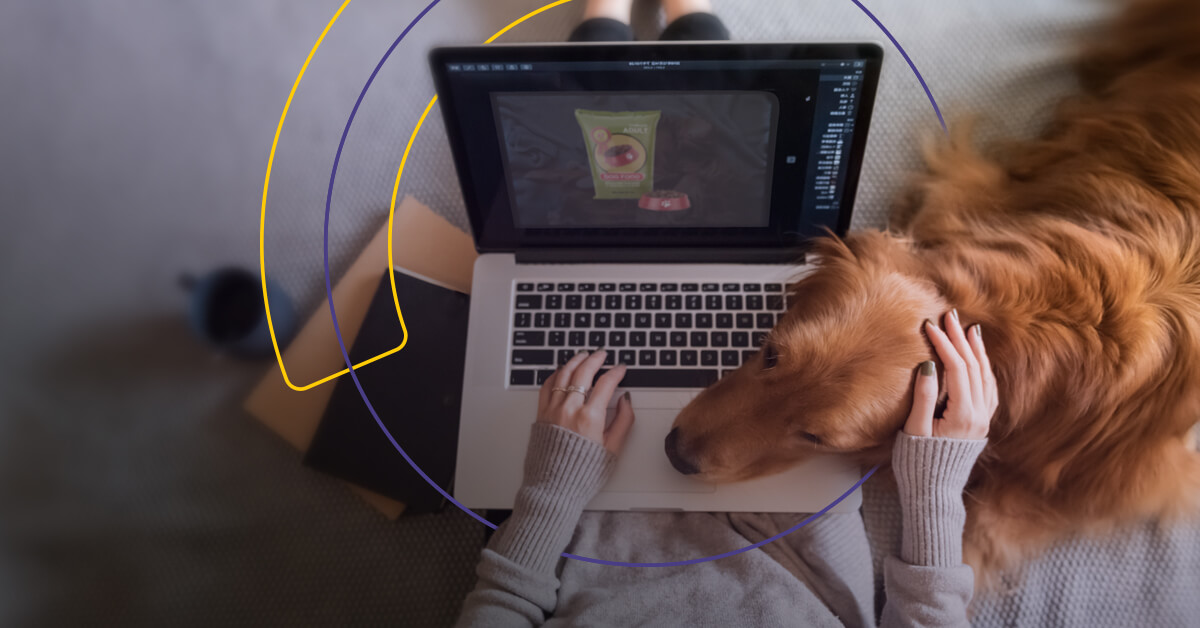 Using Data to Weather the Storm: YourDMS and Pets Corner